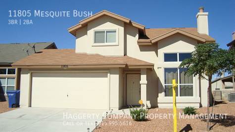 11805 Mesquite Bush