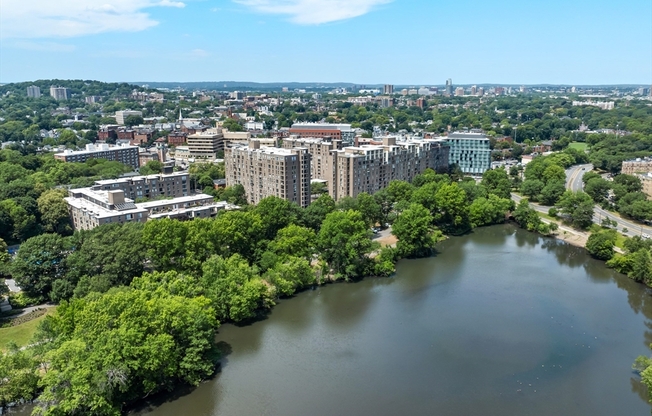 1 bed, 1 bath, 750 sqft, $2,650, Unit 1010