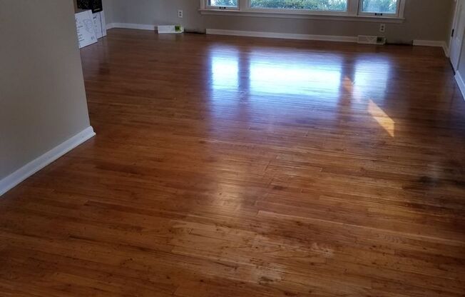Newly Remodeled 3 bedroom !