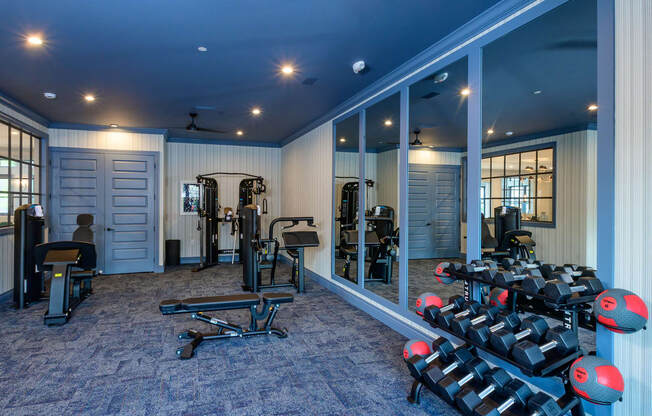 A gym with a variety of equipment including weights and a bench.