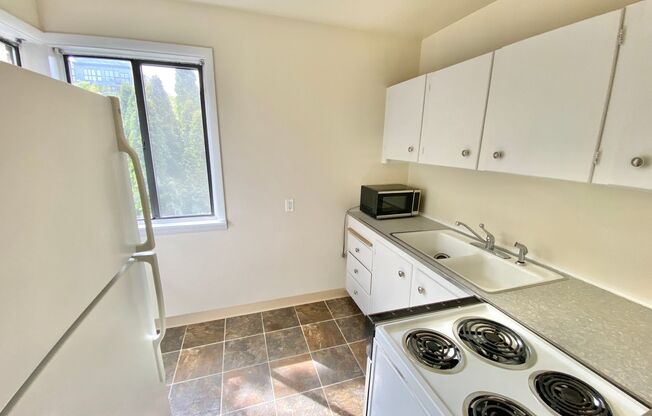 Studio, 1 bath, 390 sqft, $1,495, Unit 05