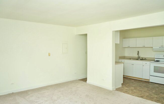 1 bed, 1 bath, $1,200, Unit Apt #13