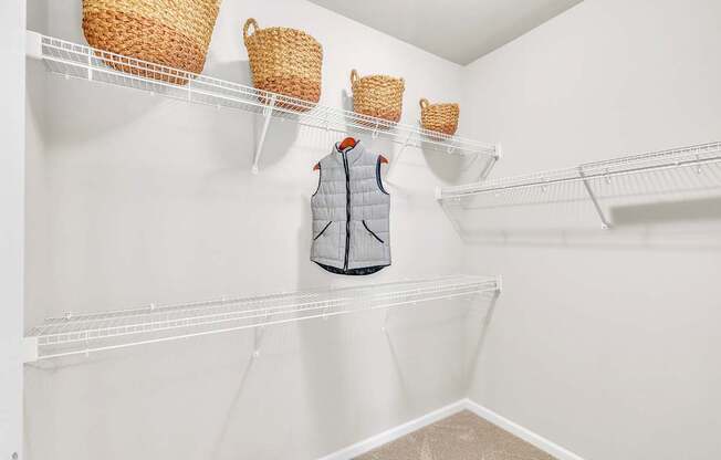 Walk-In Closets With Built-In Shelving at Sterling Creek at Richmond Hill, Richmond Hill, GA