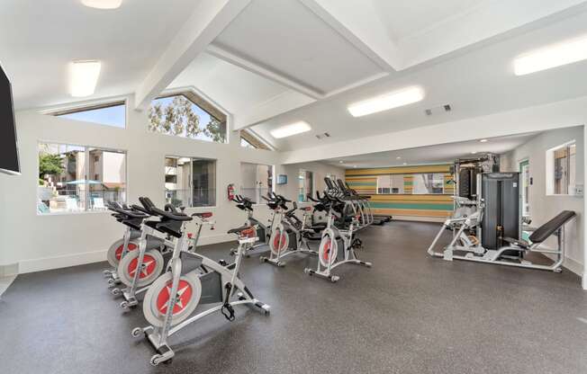stationary bikes in modern fitness center at Terrace Gardens Apartment Homes, Escondido