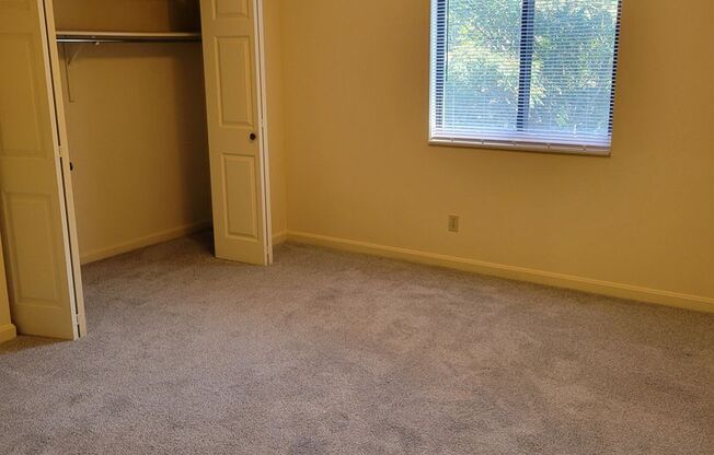 1 bed, 1 bath, 790 sqft, $915, Unit 5081