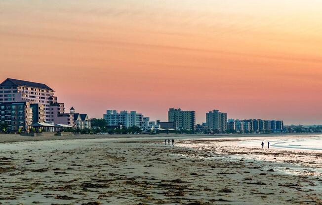 From sunrise strolls to golden-hour views, Revere Beach delivers a daily dose of seaside serenity right outside your door.