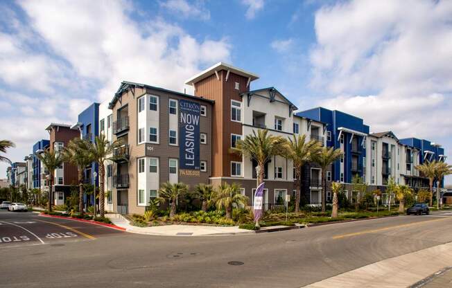 A street view of a residential area with apartment buildings and palm trees.