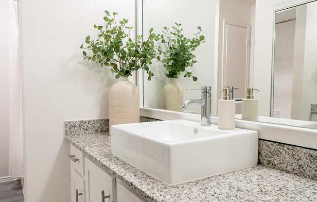 A bathroom with a white sink and a mirror.