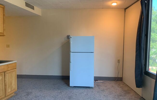 Studio, 1 bath, $750, Unit 373