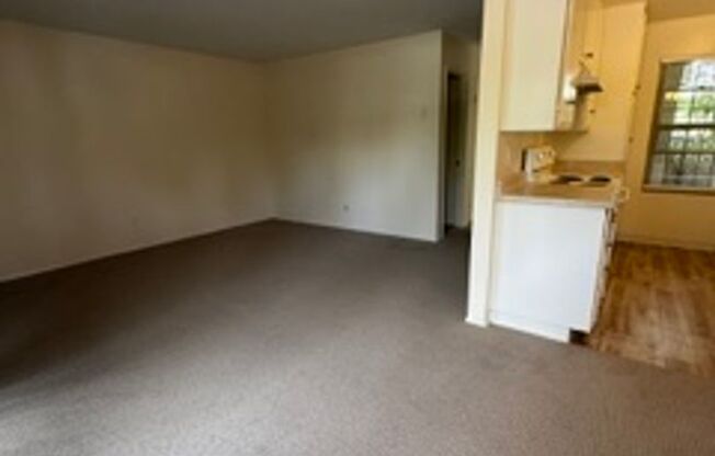 5877balt