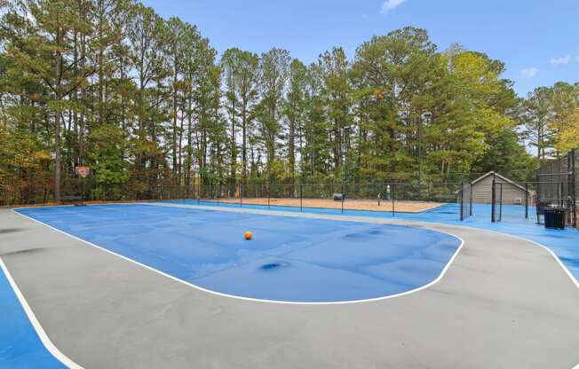 a basketball court at a park with trees in the background at Woodmere Trace at Duluth, GA