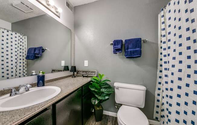 a bathroom with a sink toilet and a mirror