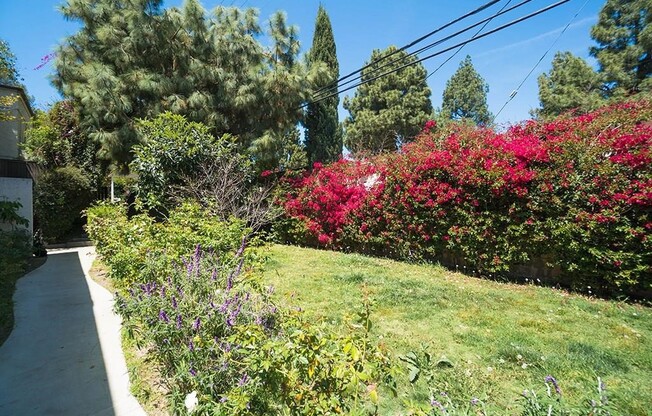 382 MIRALESTE DR