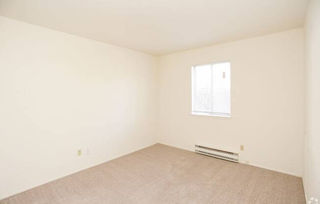 a room with white walls and carpet and a window