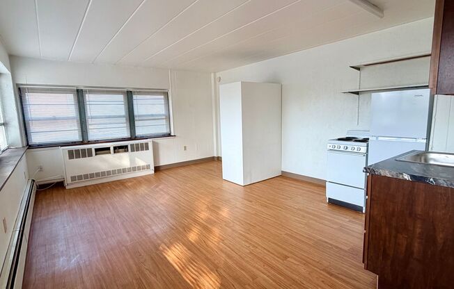 Studio, 1 bath, 400 sqft, $1,165, Unit 201