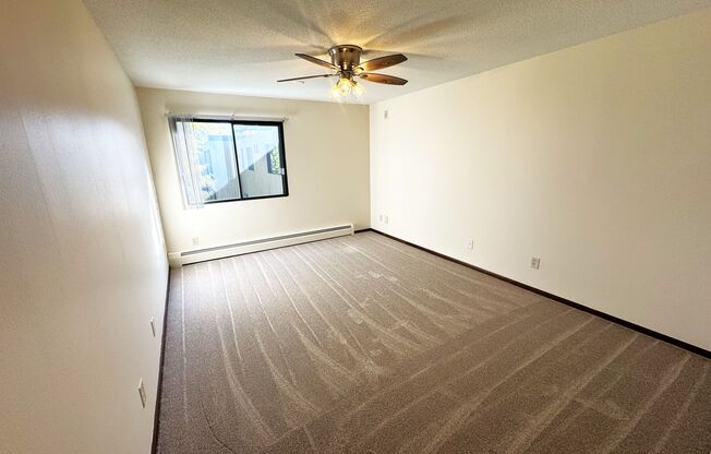 1 bed, 1 bath, $1,295, Unit #310