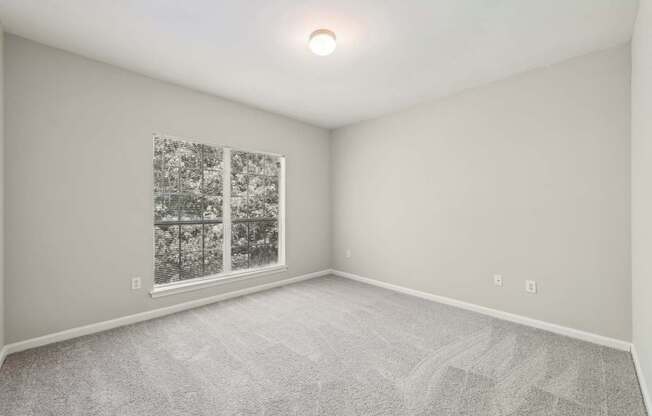 A room with a carpeted floor and large windows.