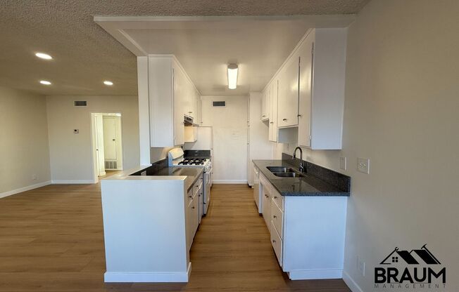 1 bed, 1 bath, 1,020 sqft, $2,095, Unit 303