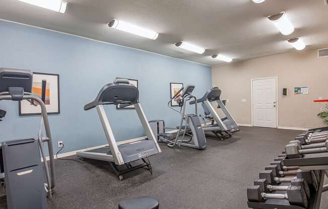 The Element at River Pointe apartments in Jacksonville Florida photo of fitness center