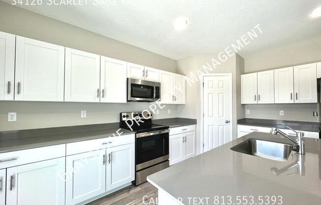 34126 SCARLET SAGE CT