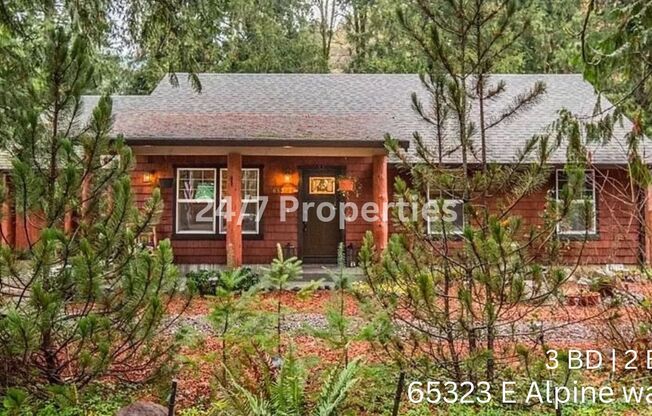 Mountain Cabin Home - 3BD 2BA in Rhododendron!