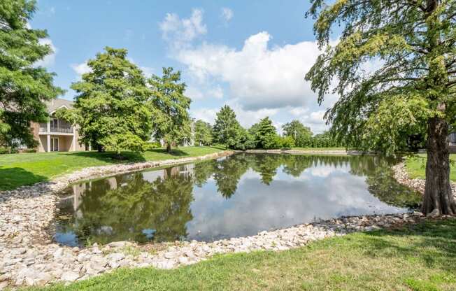 Community Pond