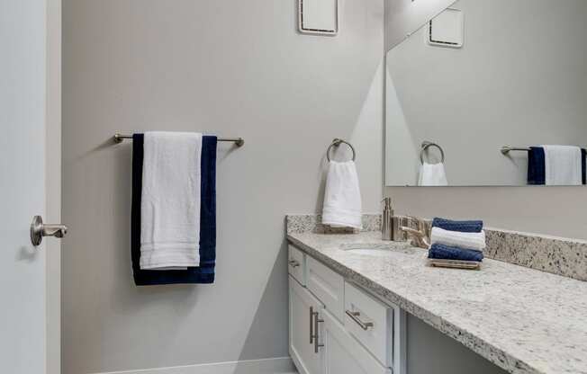 Bathroom With Ample Counterspace