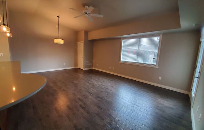 1 bed, 1 bath, $1,250, Unit 240