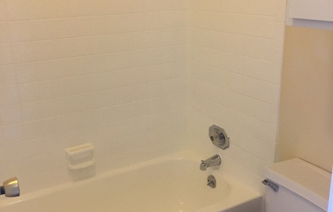1 bed, 1 bath, $800