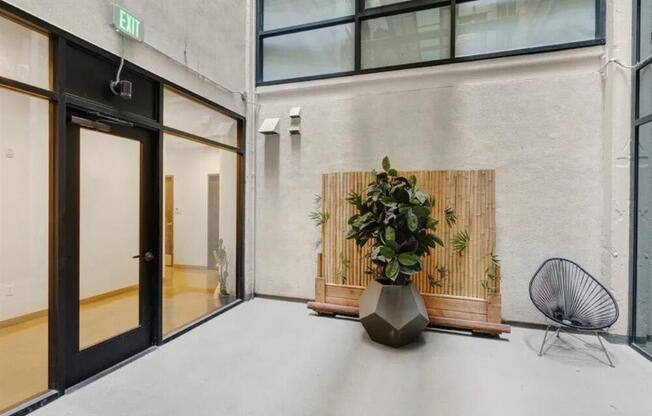 a room with a plant and a chair in front of a building
