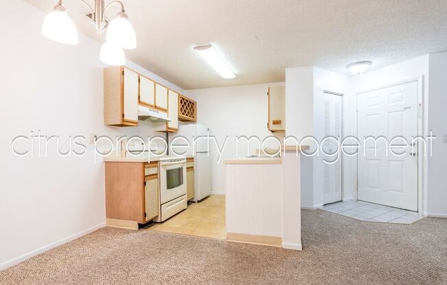 1 bed, 1 bath, $1,300, Unit Unit 213