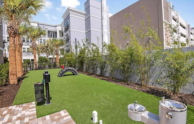 Pet Park at The Foundry Luxury Apartments in Tampa FL