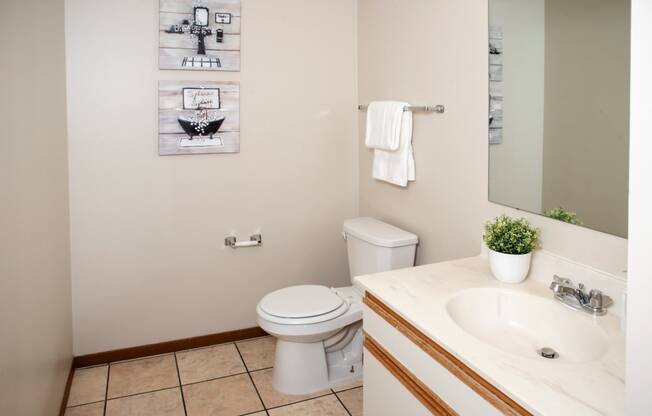 Classic 2 bedroom, 1.5 bath, bathroom at Cinnamon Ridge Apartments, Minnesota, 55122