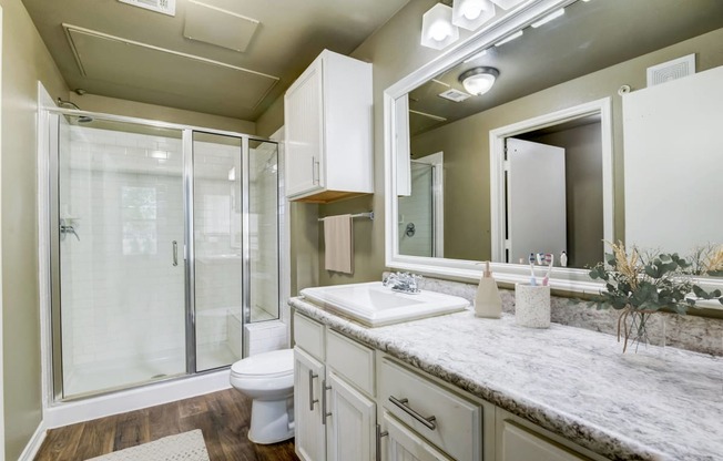 a bathroom with a shower and a sink and a mirror