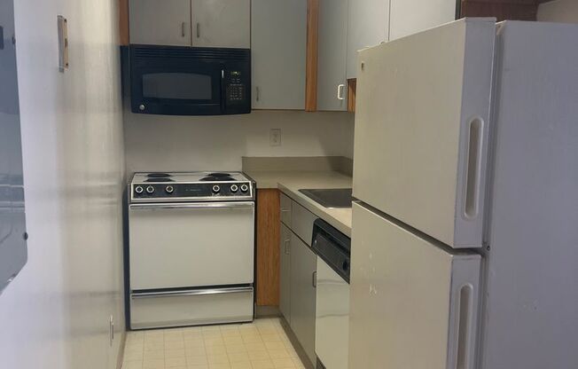 1 bed, 1 bath, 430 sqft, $1,300, Unit 206