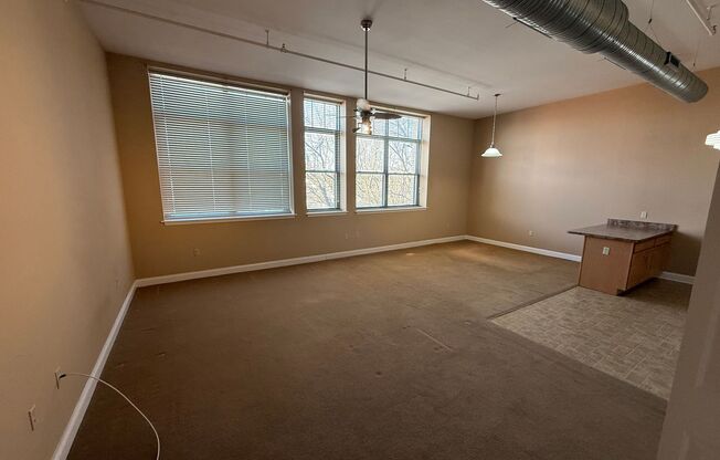 1 bed, 1 bath, 588 sqft, $1,095, Unit Apt 302