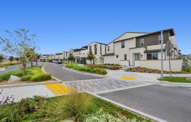 Street Views at Merge 56