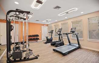 A gym with a treadmill, weights, and exercise equipment.