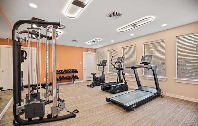 A gym with a treadmill, weights, and exercise equipment.