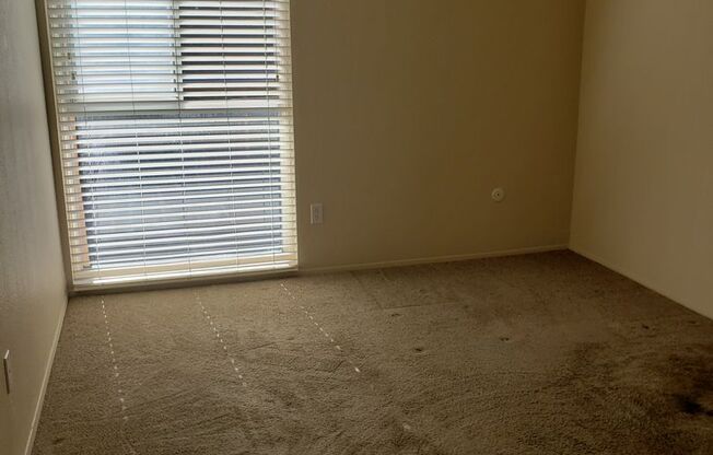 Great Roommate Opportunity near SDSU!