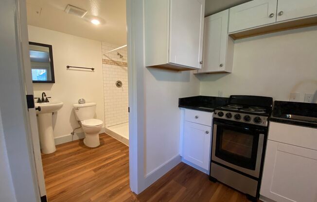 Studio, 1 bath, 265 sqft, $1,099, Unit 17