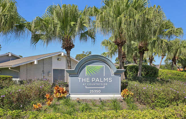 A sign for The Palms at Countryside with a house and palm trees in the background.