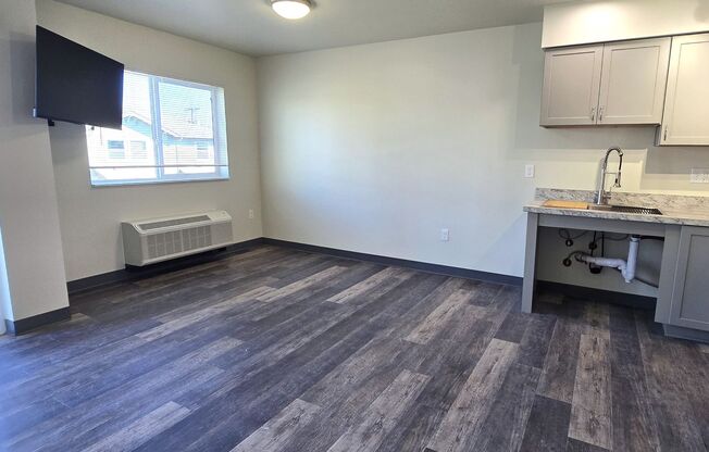 1 bed, 1 bath, 553 sqft, $1,250, Unit 302