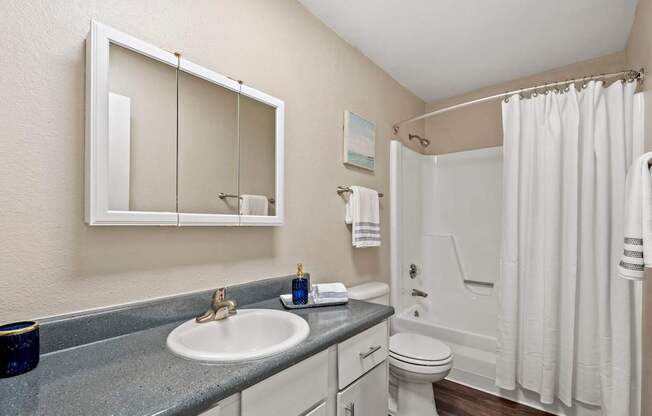 A bathroom with a sink, mirror, toilet, and shower.