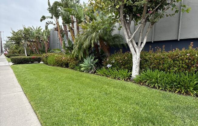 2 beds, 1 bath, 850 sqft, $2,325, Unit 9155-10