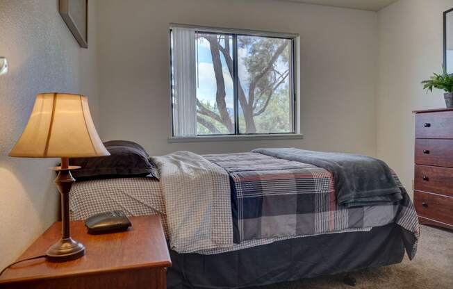 Bedroom at The View At Catalina Apartments in Tucson, AZ