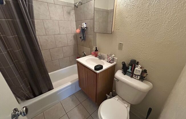 Studio, 1 bath, $750, Unit 310