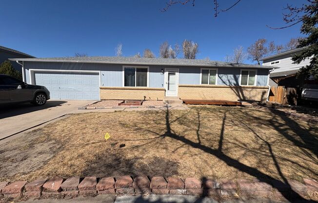 Large 5 bed 3 bath house near Cherry Creek Reservoir!