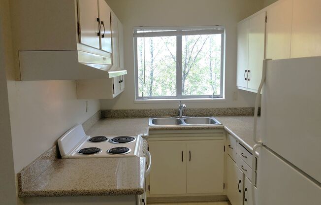 COMING SOON-1 bedroom, 1 bathroom apartment in a quiet lovely South Berkeley. Less than a mile from UC Berkeley