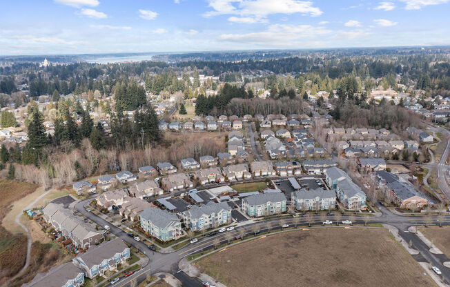 arial view of a subdivision with houses and trees